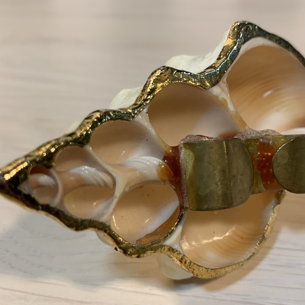Vintage 1970s Real Shell Belt Buckle Ivory & Gold Nautical Coastal Beach Vibe - Picture 5 of 17